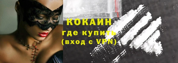 прущие грибы Богданович
