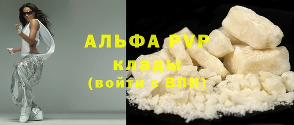 прущие грибы Богданович