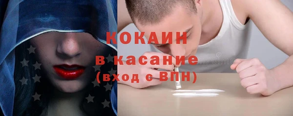 прущие грибы Богданович