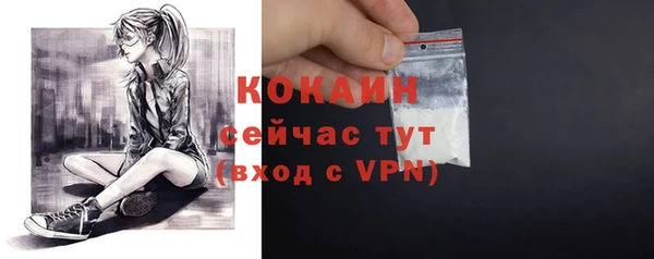 синтетический гашиш Богородицк