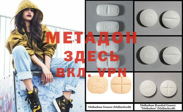 прущие грибы Богданович