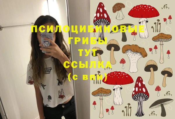 синтетический гашиш Богородицк