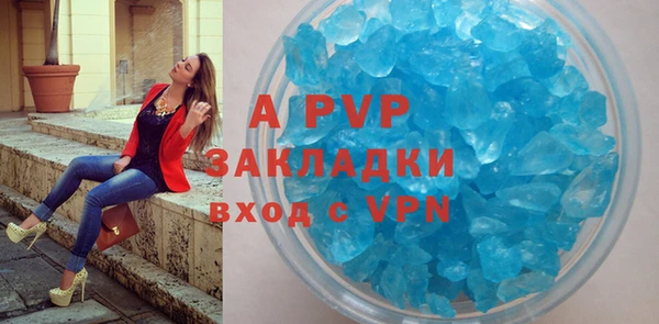прущие грибы Богданович