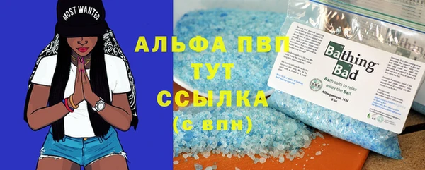 прущие грибы Богданович