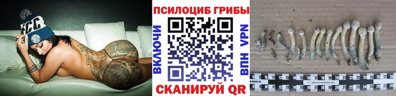 Купить где  Городовиковск  Псилоцибиновые грибы ЛСД 